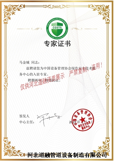 11馬金城(chéng)-中(zhōng)國(guó)設(shè)備協會(huì)專(zhuān)家證書(水印).jpg